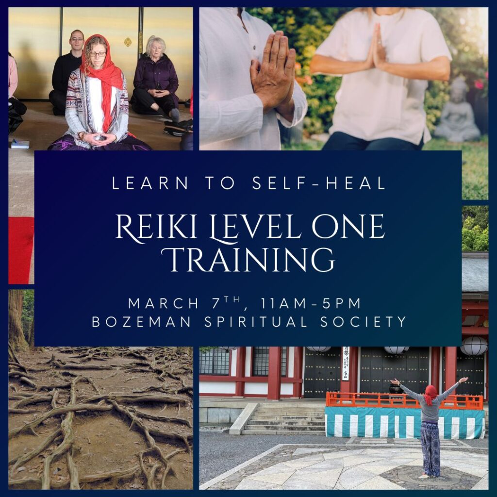 Usui Reiki Level One Training with Christine Renee